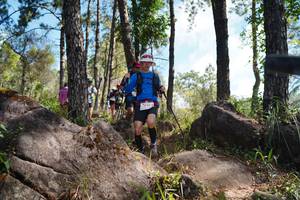 BIB: 250
                            <button type="button" onclick="openModal(18959843)" class="btn btn-primary btn-sm float-right btn-popup" data-toggle="modal" data-target=".modal-high-quality">
                        <i class="fas fa-shopping-cart"></i> Add to Cart
                    </button>
                                            <button type="button" onclick="isThisMe(18959843, true)" class="btn btn-success btn-sm float-right btn-popup btn-isme hidden" data-toggle="tooltip" data-placement="bottom" title="นี่คือรูปของคุณใช่ไหม คลิกที่นี่เพื่อเอาเข้าอัลบั้ม">
                        <i class="fas fa-plus"></i> Add to album
                    </button>
                    <button type="button" onclick="isThisMe(18959843, false)" class="btn btn-warning btn-sm float-right btn-popup btn-isnotme hidden">
                        <i class="fas fa-ban"></i> Remove from album
                    </button>